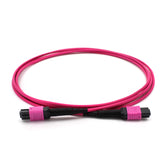 Fibermall製 MPO メス - MPO メス 12芯 OM4 マルチモード エリートトランクケーブル(12芯、タイプB、LSZH、マゼンタ)