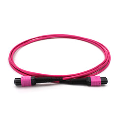 Fibermall製 MPO メス - MPO メス 12芯 OM4 マルチモード エリートトランクケーブル(12芯、タイプB、LSZH、マゼンタ)