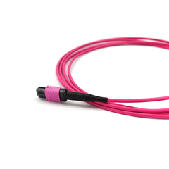 Fibermall製 MPO メス - MPO メス 12芯 OM4 マルチモード エリートトランクケーブル(12芯、タイプB、LSZH、マゼンタ)