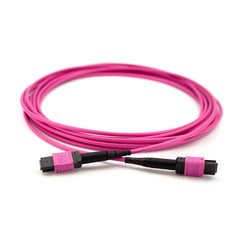 Fibermall製 MPO メス - MPO メス 16芯 OM4 50/125 マルチモードトランクケーブル(タイプB、LSZH、マゼンタ)