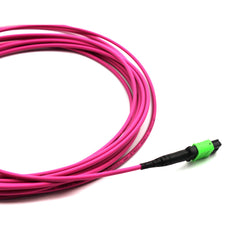 Fibermall製 MPO/APC メス - MPO/APC メス 12芯 OM4 マルチモード エリートトランクケーブル(12芯、タイプB、LSZH、マゼンタ)