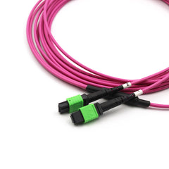 Fibermall製 MPO/APC メス - MPO/APC メス 12芯 OM4 マルチモード エリートトランクケーブル(12芯、タイプB、LSZH、マゼンタ)